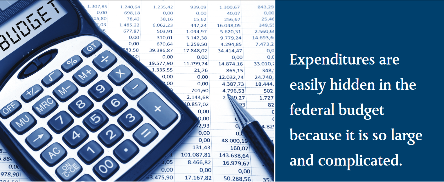 Expenditures are easily hidden in the federal budget because it is so large and complicated. Expenditures are easily hidden in the federal budget because it is so large and complicated.