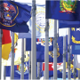 state-flags.png