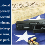 article-4-gun.png