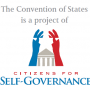 selfgovern-com2.png