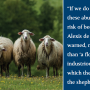 sheep-cos.png